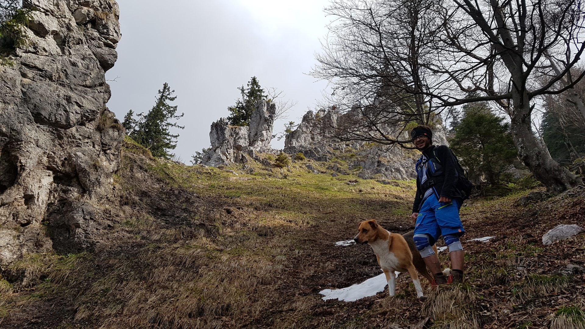 Die 4 besten Tipps für Wandern mit Hund!