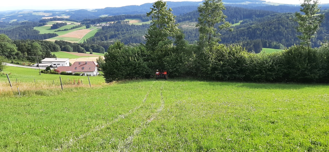 Landwirt mit Traktor verunglückt