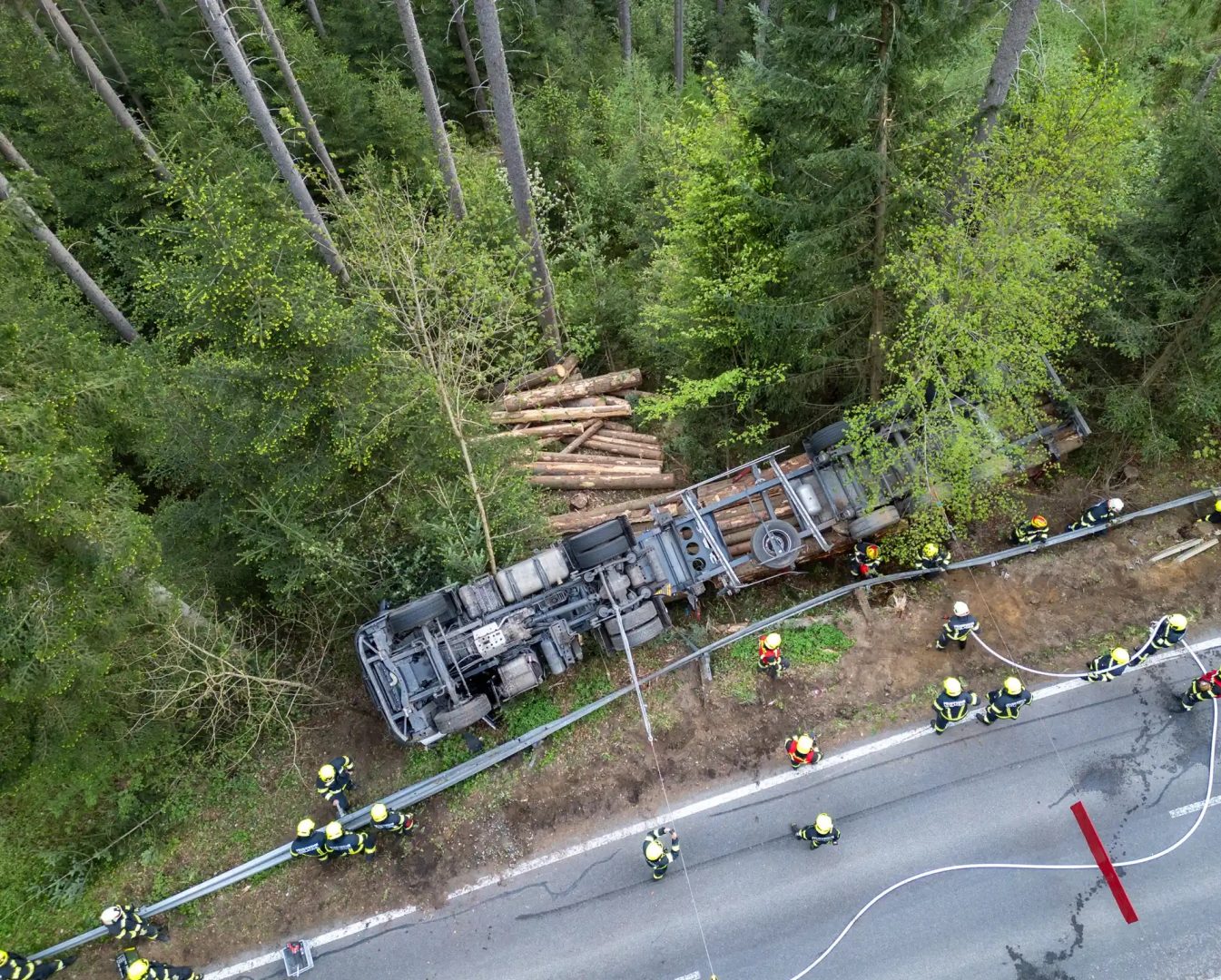 Mit Holz beladener Lkw in Wald gestürzt
