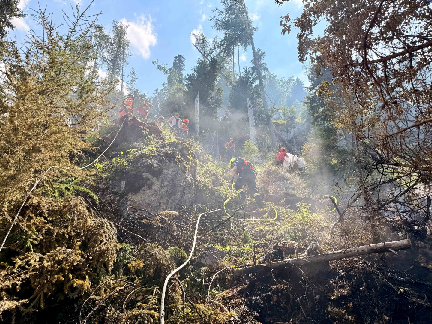 Waldbrand in Ebensee fordert Feuerwehren