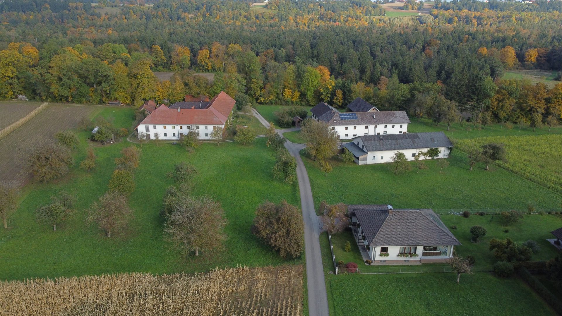 CO2 ausgetreten – Sohn rettet Eltern