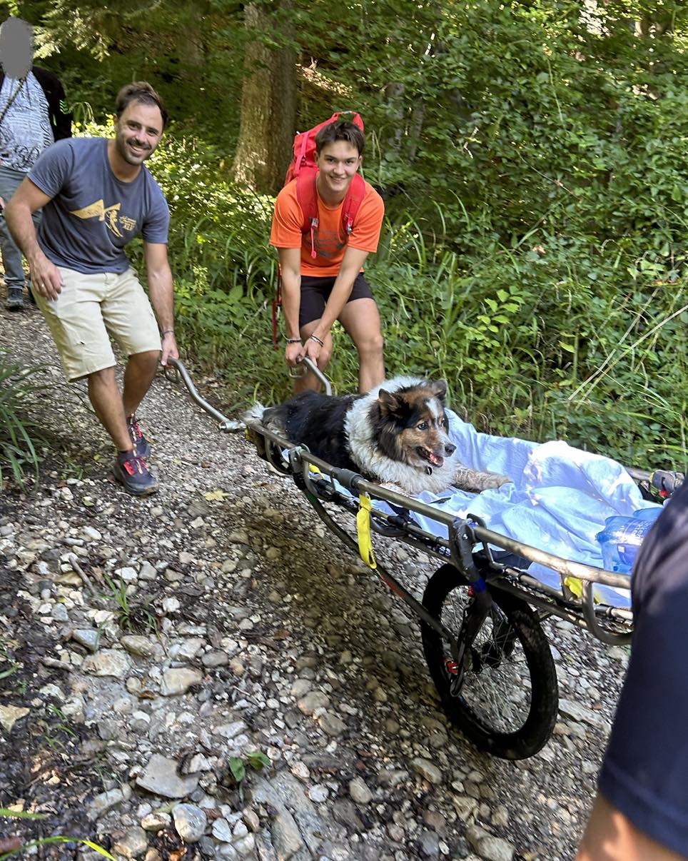 Bergrettung Gmunden rettet Hund