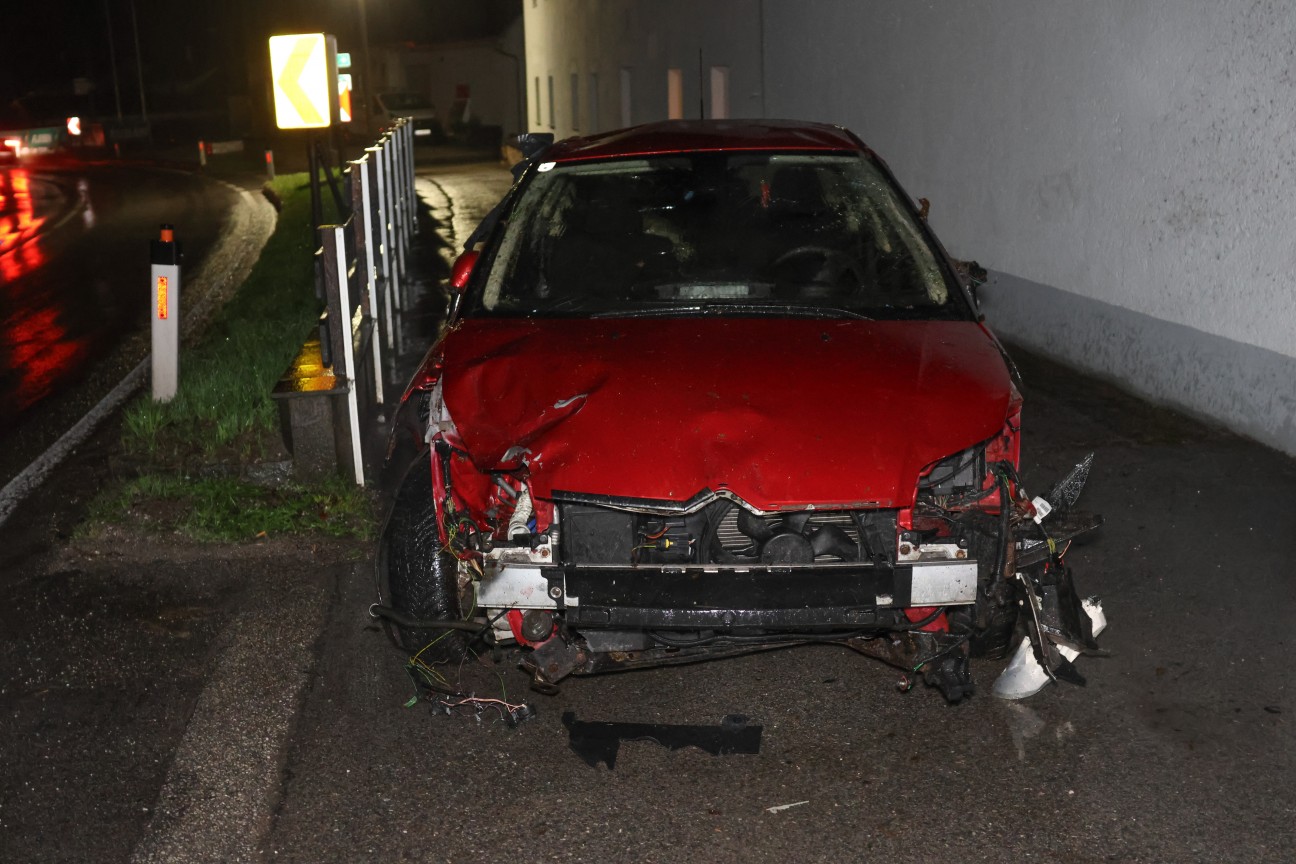 Suchaktion nach Alkolenker