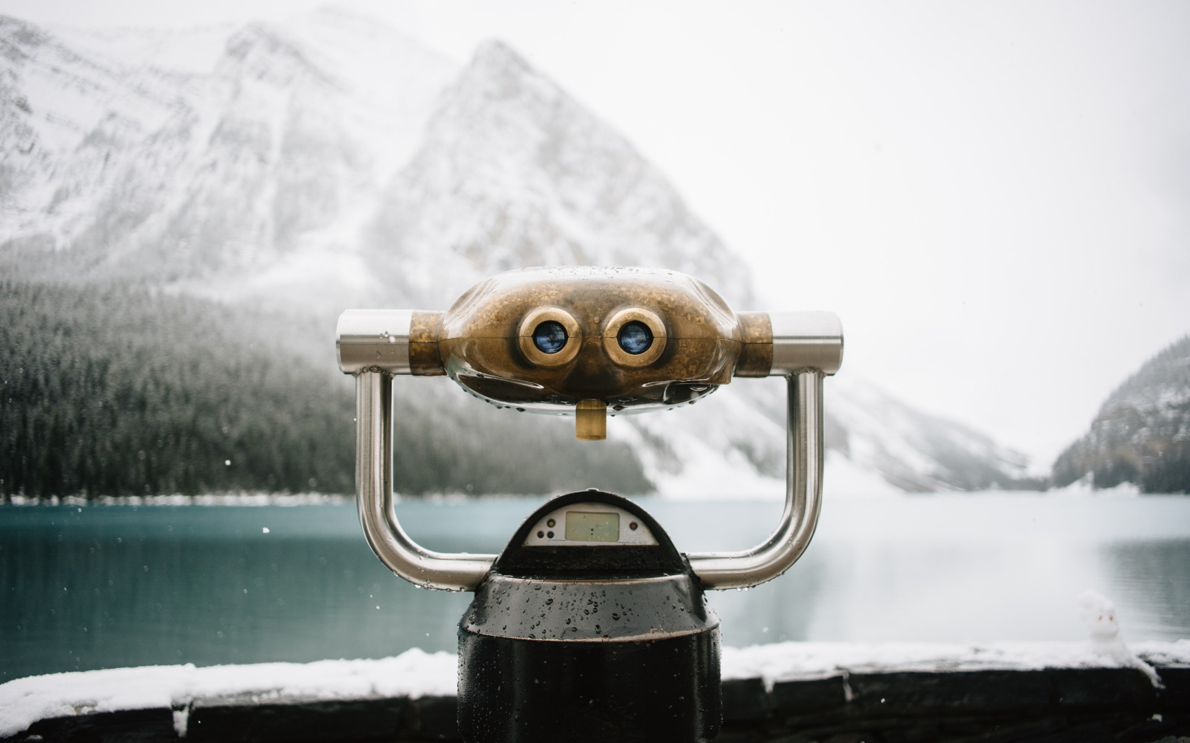Bild