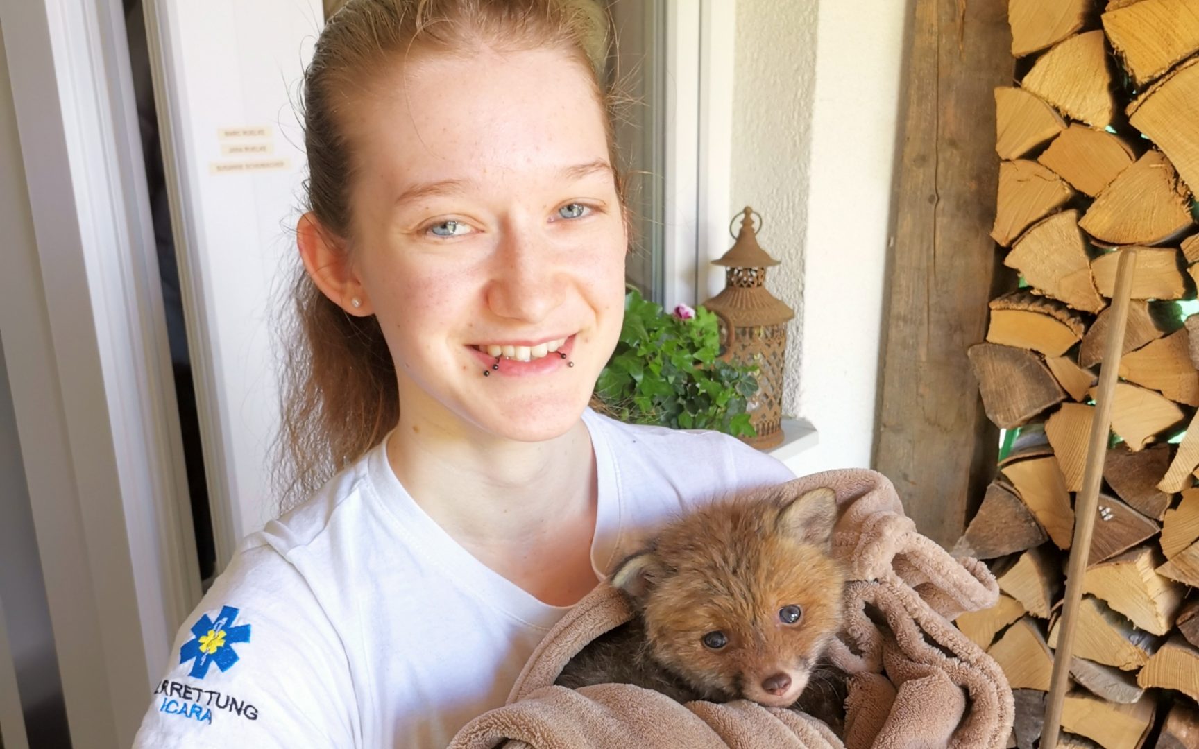 Verwaistes Fuchsbaby gerettet