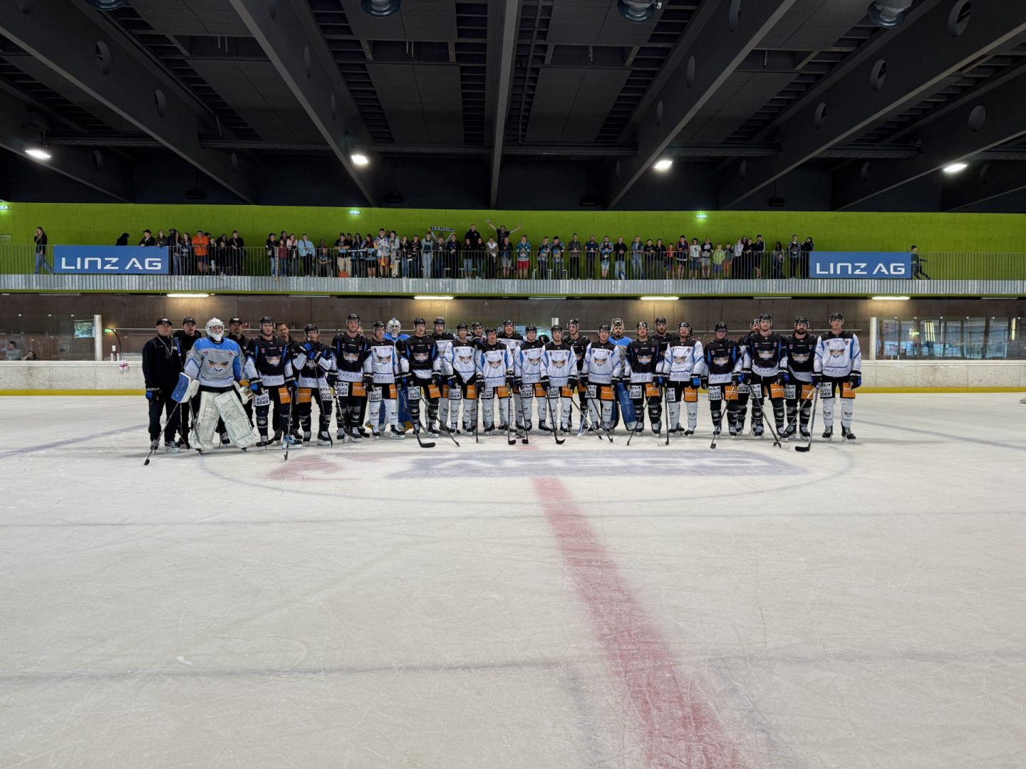 Die Black Wings sind back!
