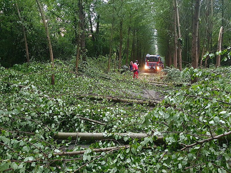 Kurze, aber heftige Gewitter