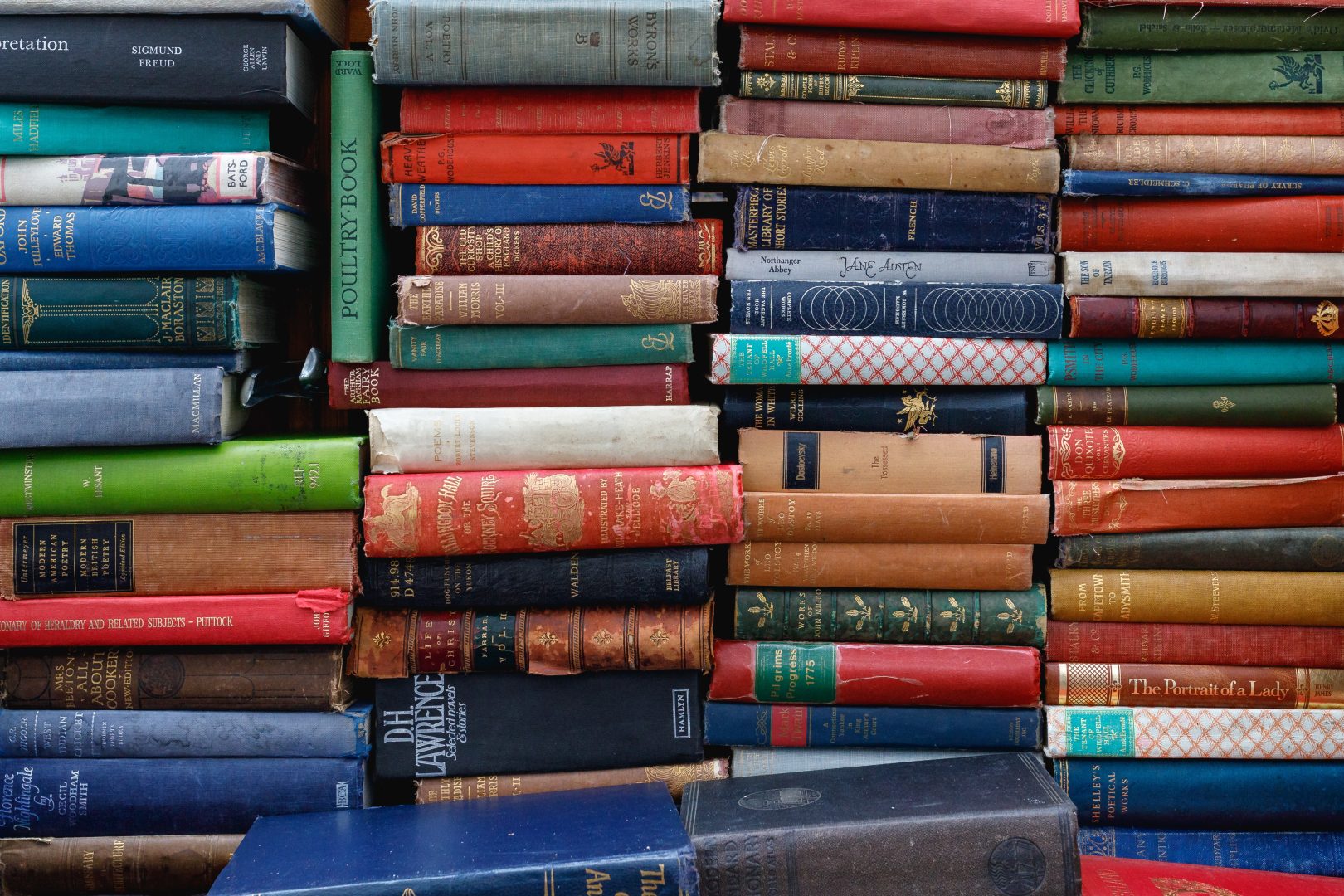 Bei uns wird der No-vember zum Jo-vember! Tipp8: ein Buch lesen!