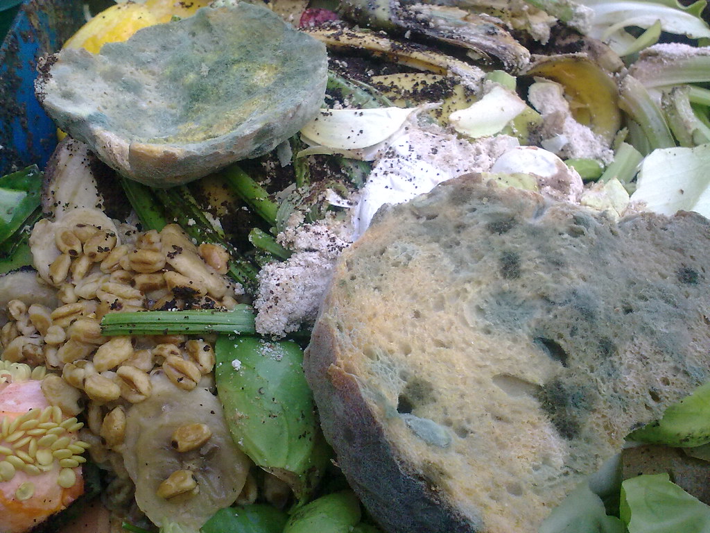 Eine Million Tonnen Essen im Müll