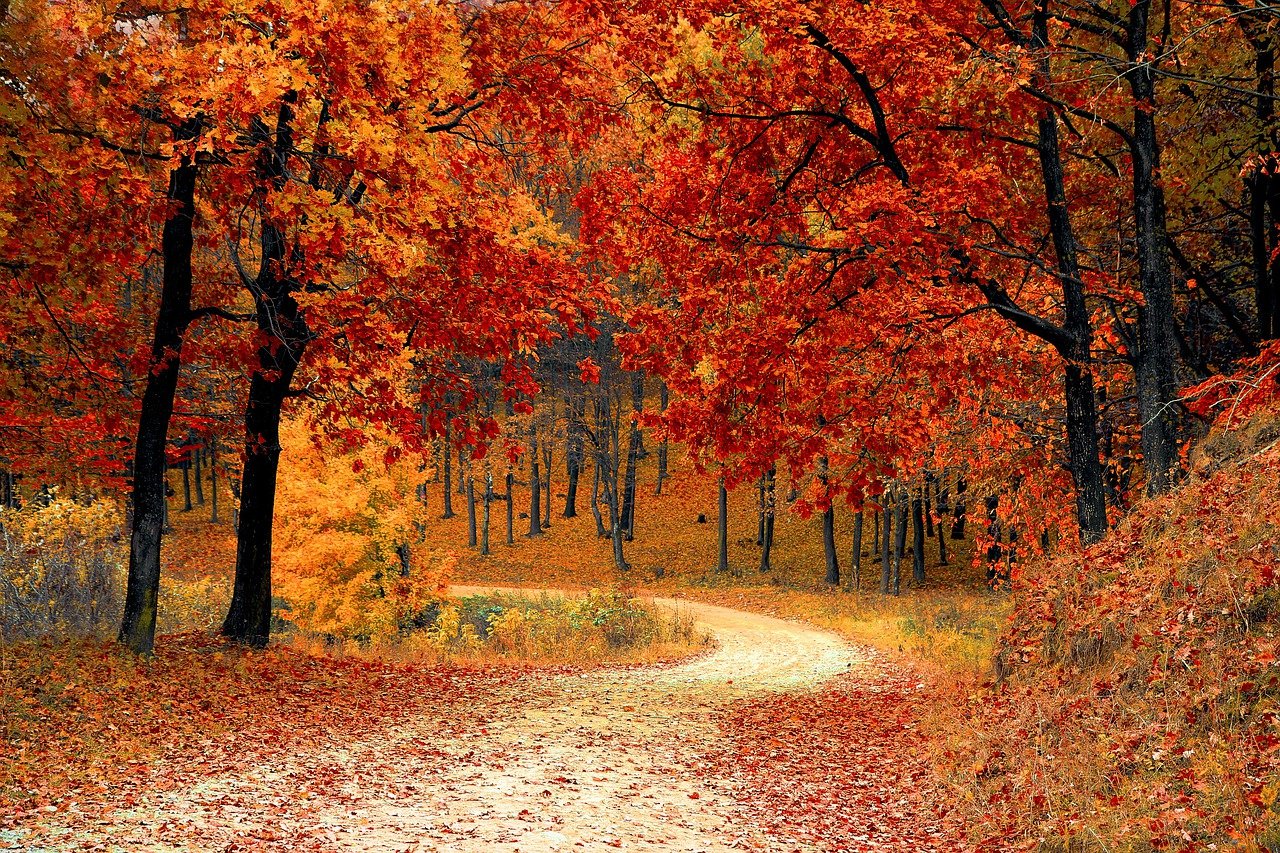 Wie man am besten ein Herbsttief überwindet