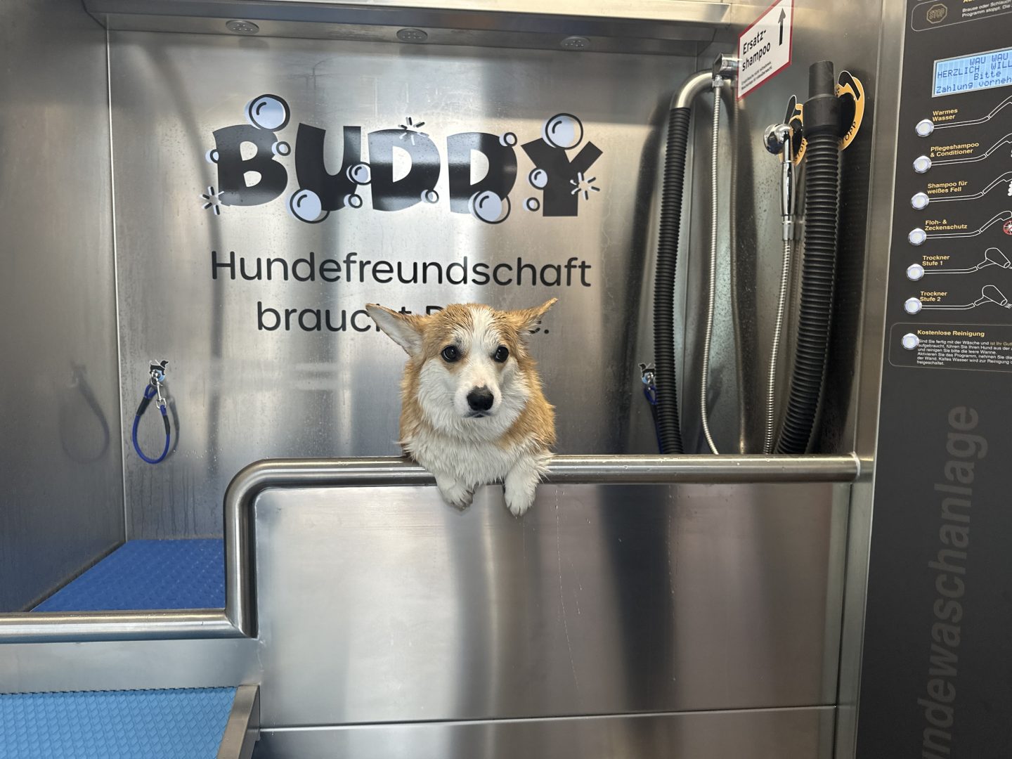 Hundewaschanlage in Freistadt!