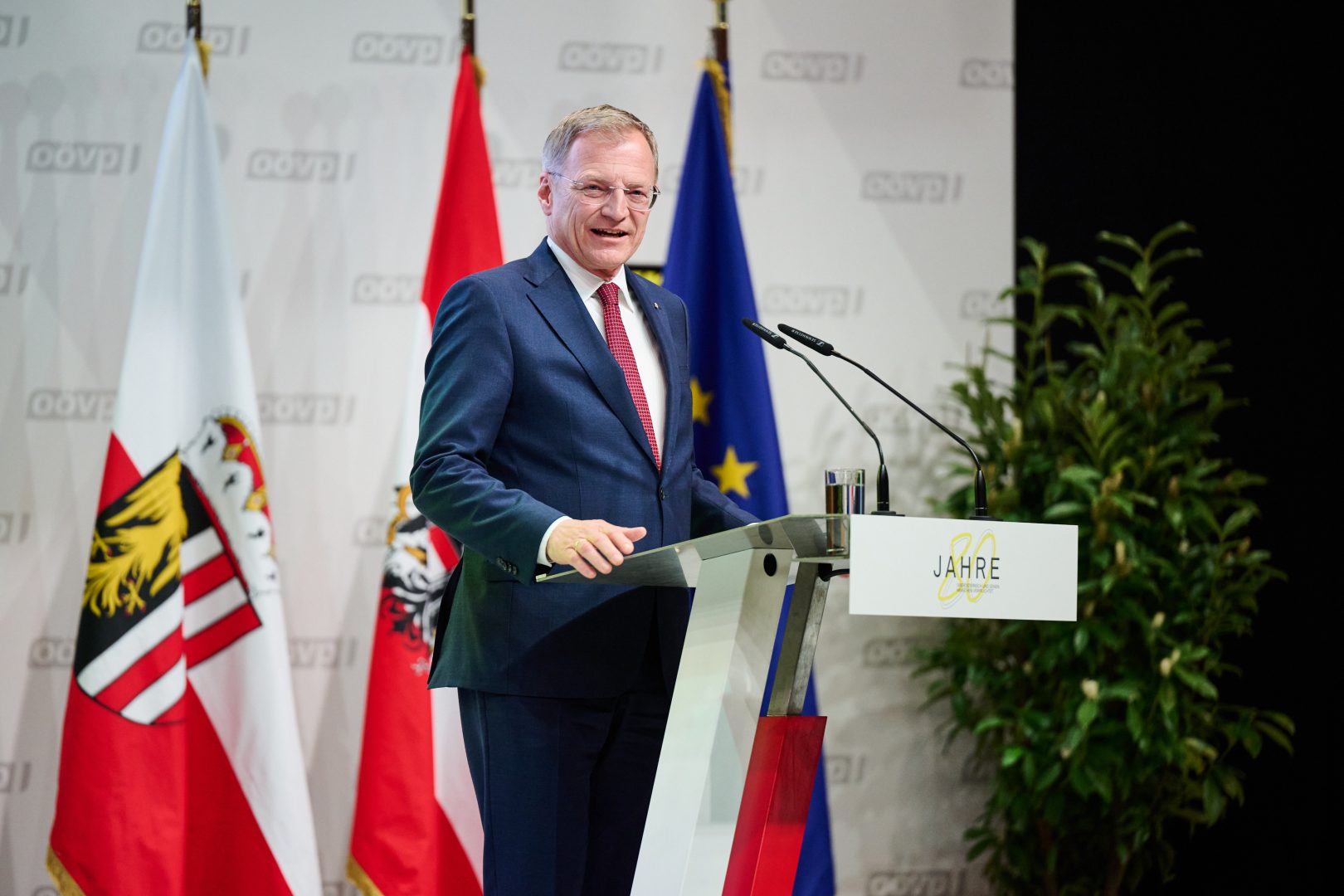 Stelzer vor Wiederwahl als Parteichef