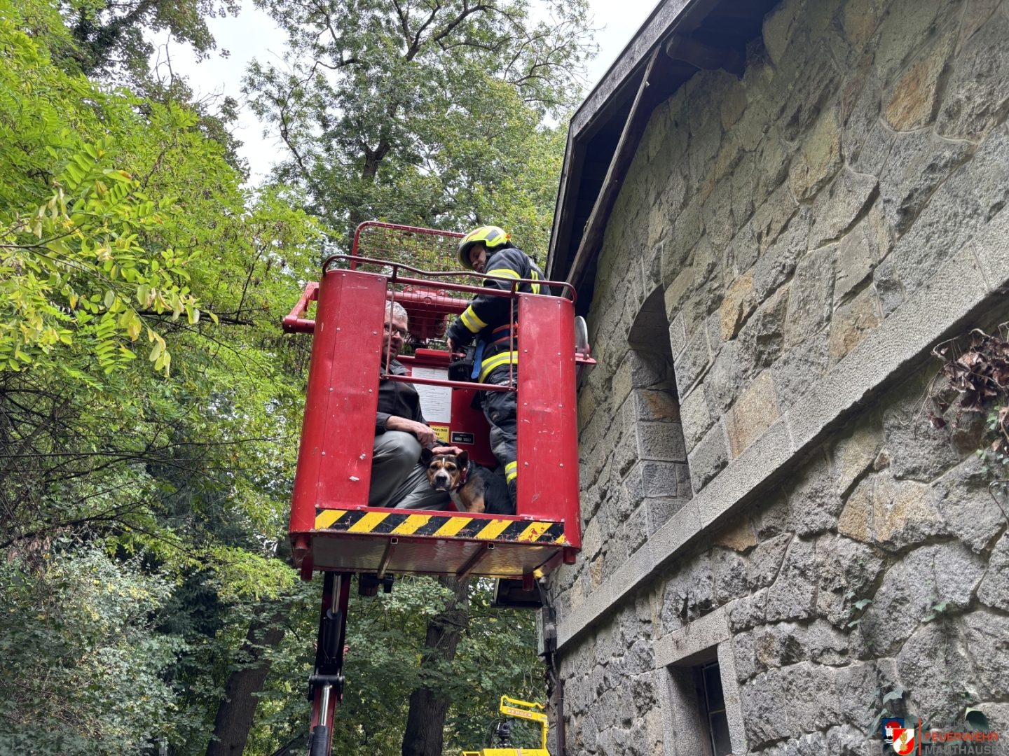 Hund aus Felsspalte gerettet