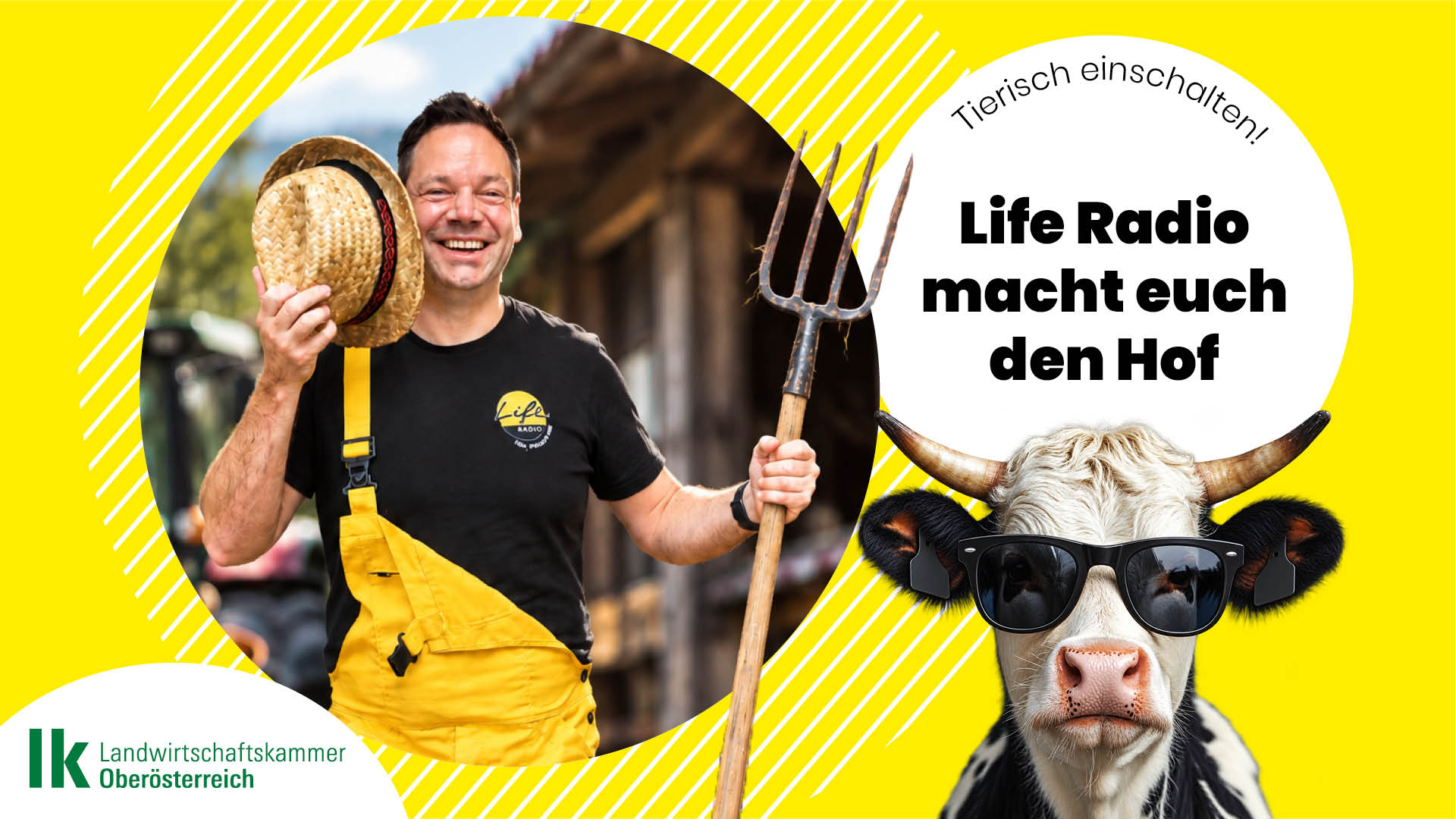 Life Radio macht euch den Hof