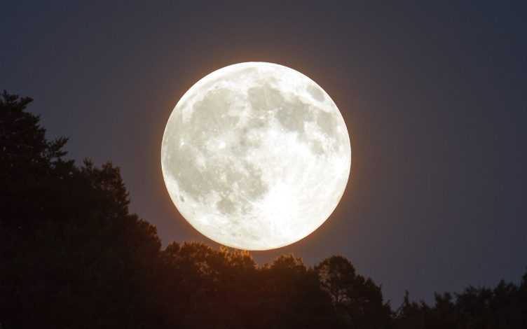 Vollmond-Mythen im Check