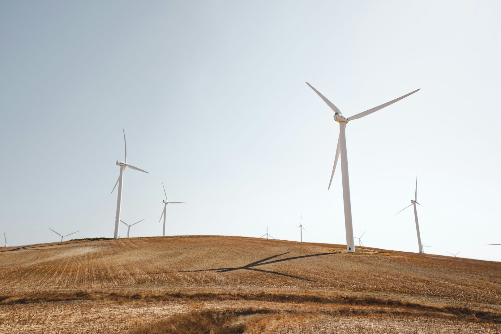Energie AG senkt Strompreise!