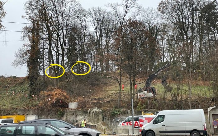 Proteste im Bergschlösslpark gehen weiter