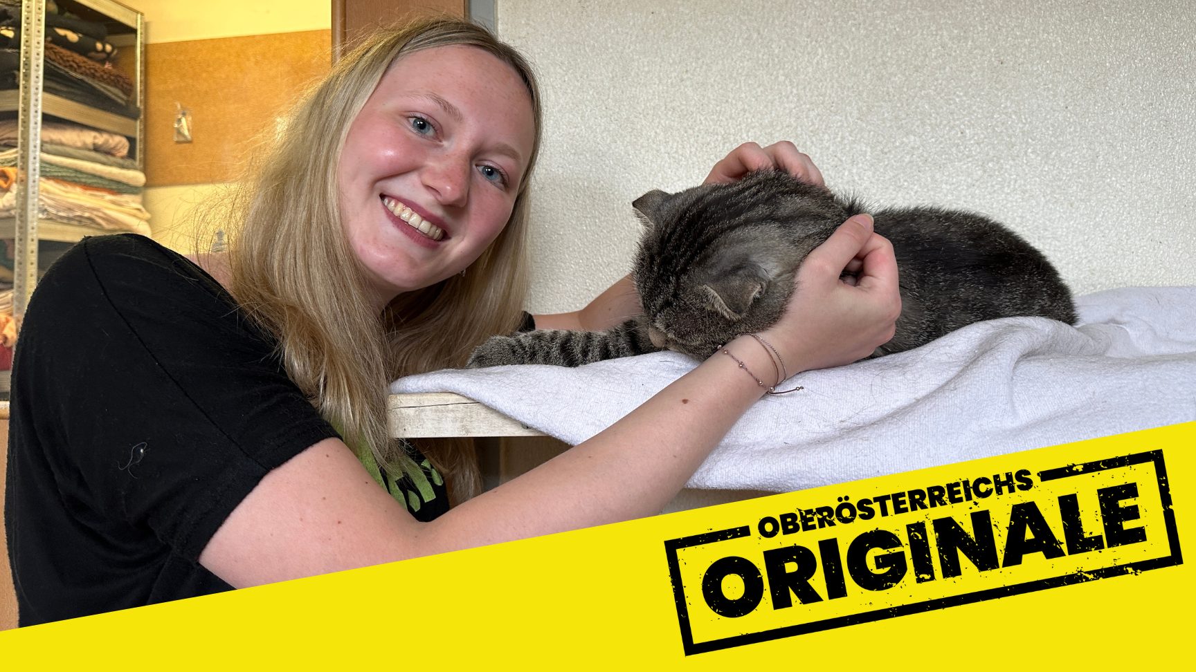 Die Katzenstreichlerin
