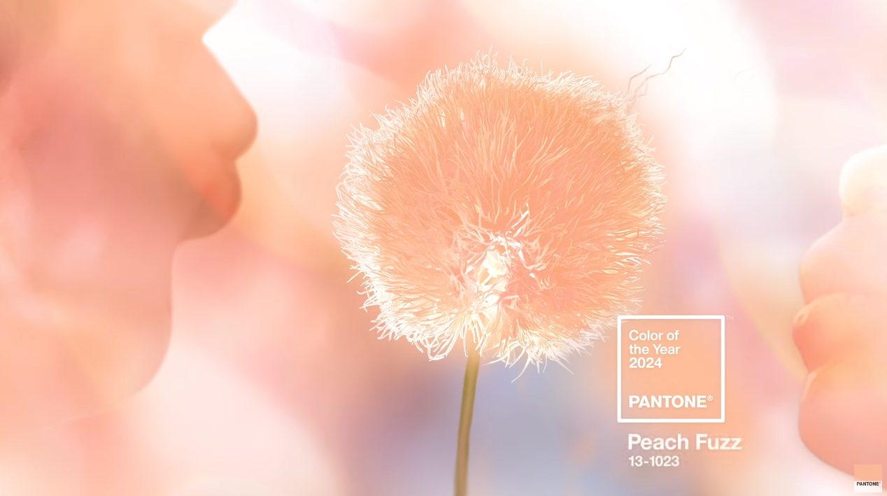 „Peach Fuzz“ ist Farbe des Jahres 2024
