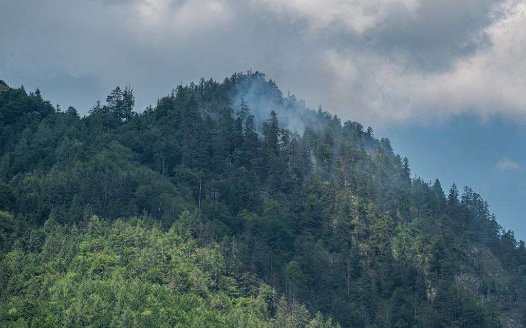 Waldbrand bei Hinterstoder