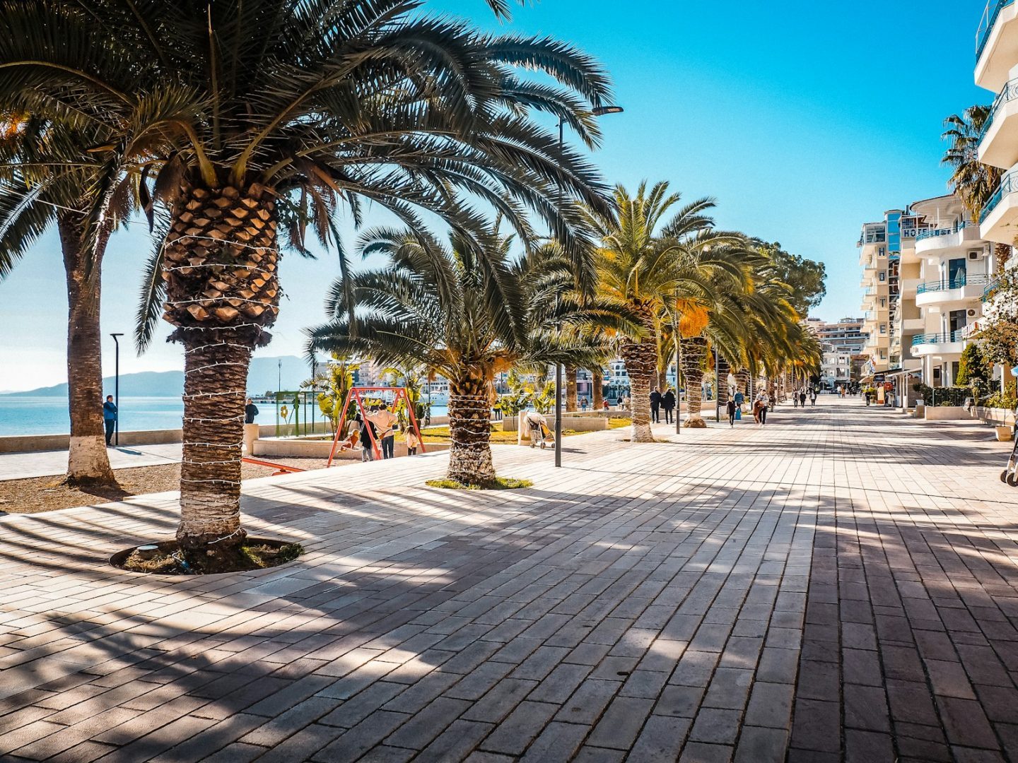 a palm tree lined street next to the ocean