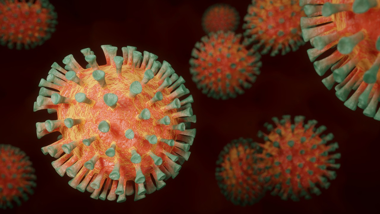 coronavirus, corona, virus
