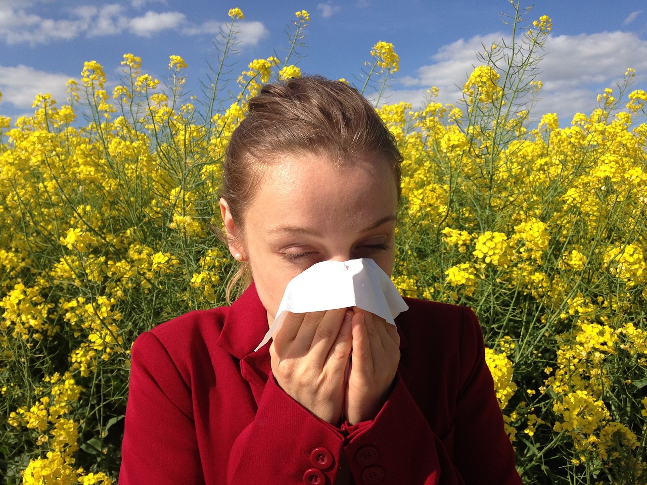 Pollenflug: schwere Zeiten für Allergiker