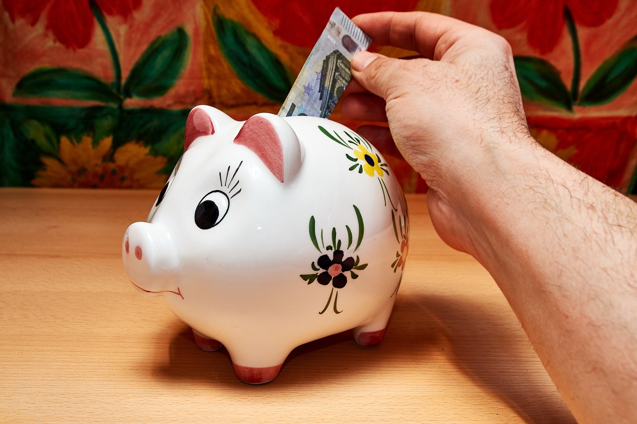 savings, piggy bank, hand