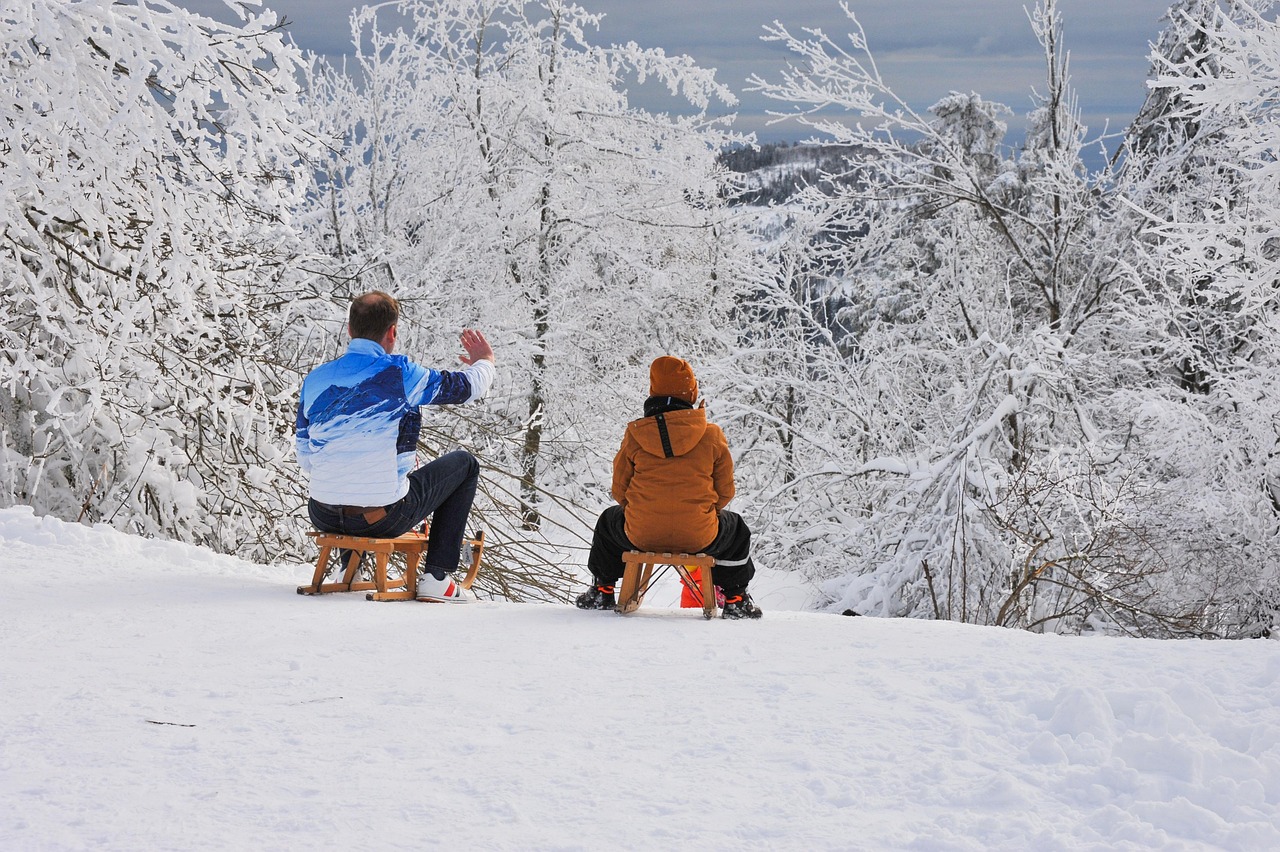 winter, snow, toboggans, sleds, leisure time, sledging, winter landscape, landscape, nature, forest, sledging, sledging, sledging, sledging, sledging