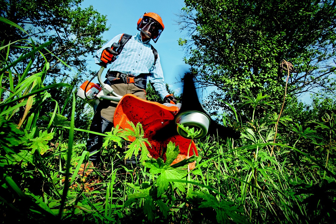 garden, grass cutter, gardening