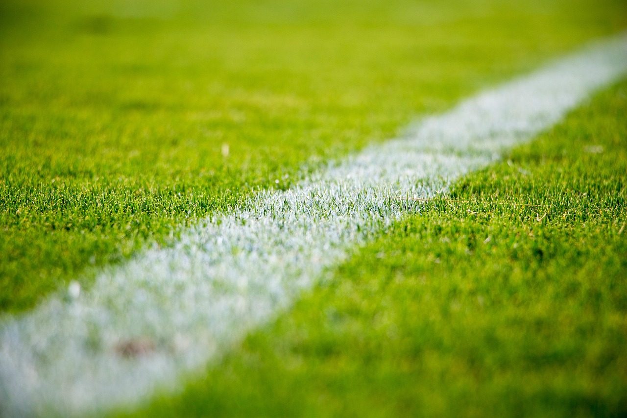 grass, lawn, field, sports, soccer, nature, football, green grass, green football, green sports, green field