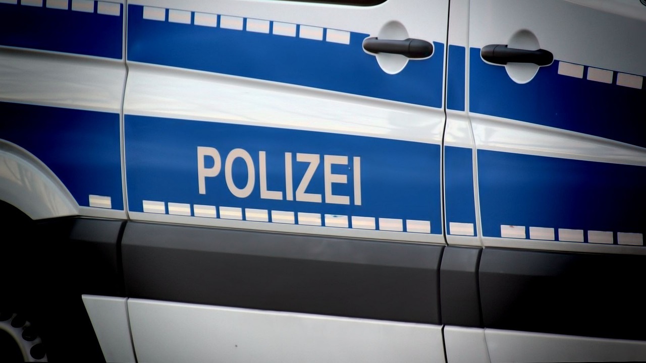 police, police operation, security, police car