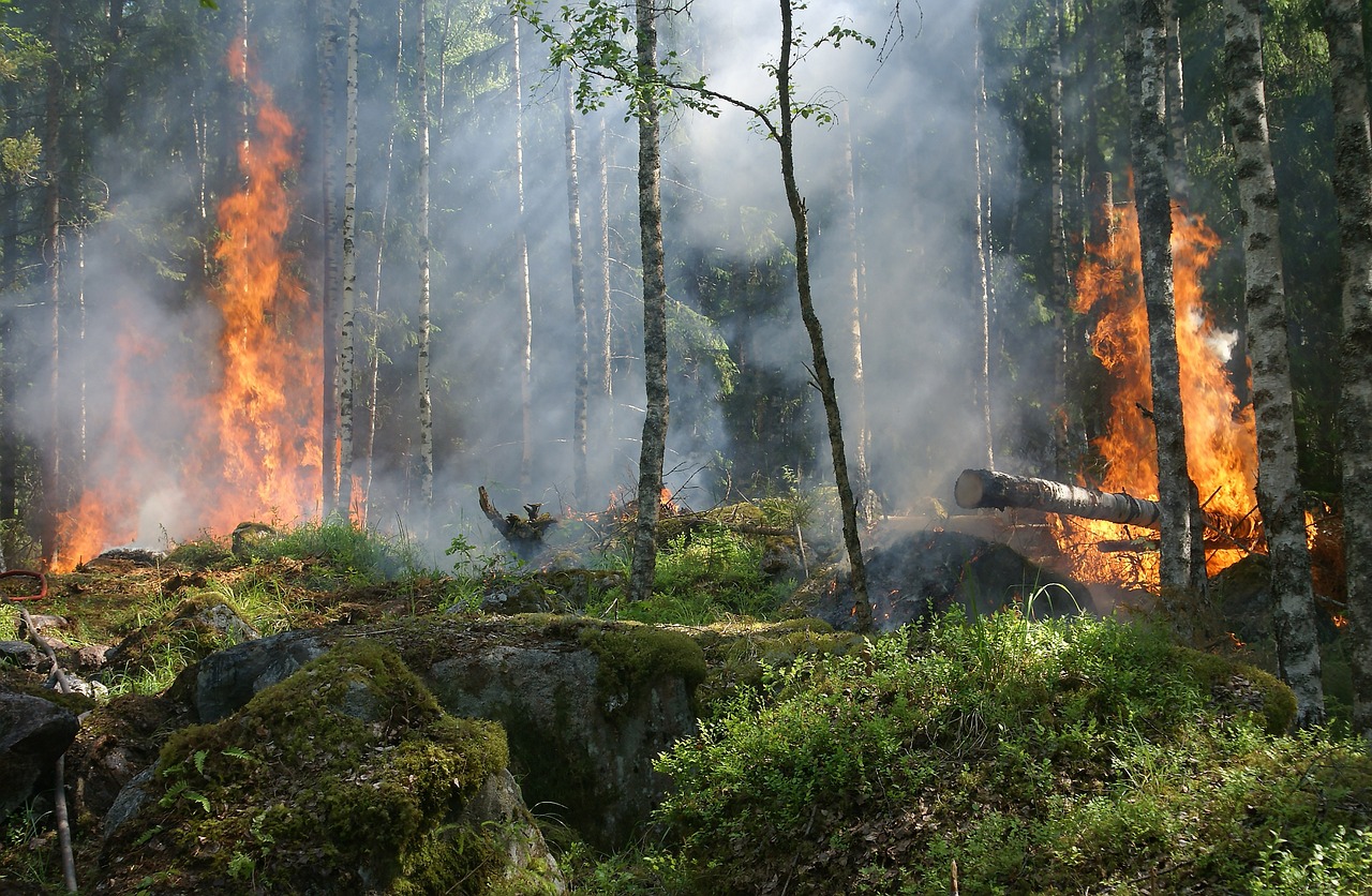 Achtung! Große Waldbrand-Gefahr!