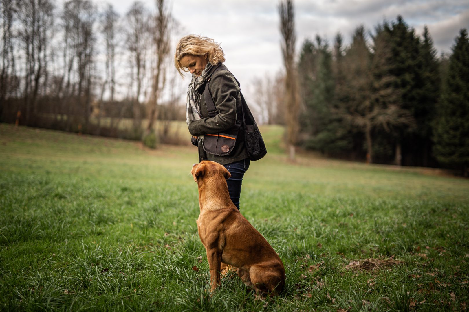 Hund erschnüffelt Borkenkäfer