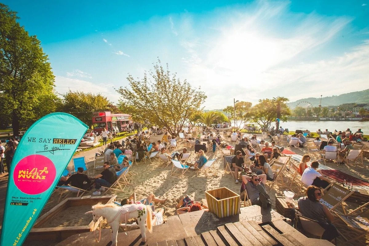 Bild