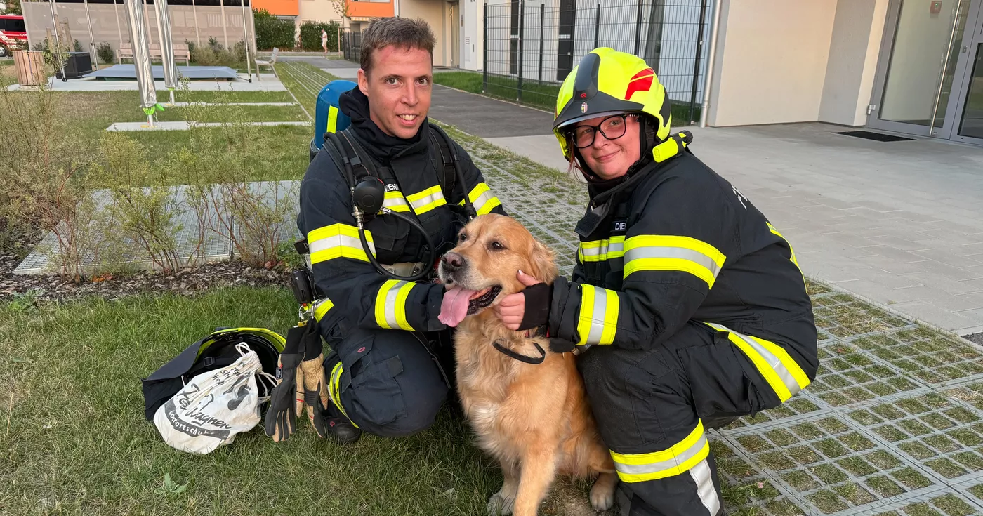 Feuermelder rettet Hund und Katzen in Asten