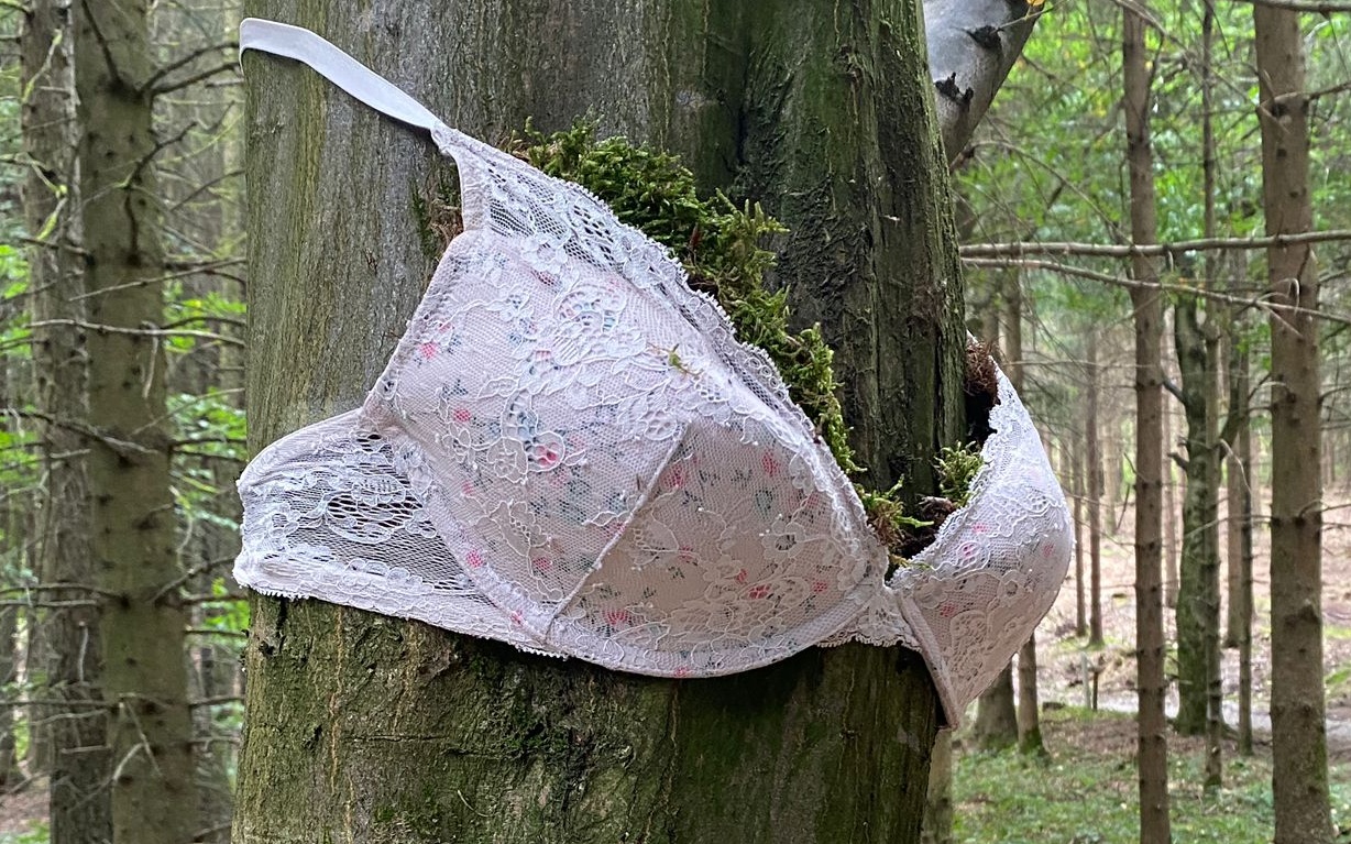 Sexy Bäume: Baum-BHs im Innviertel!