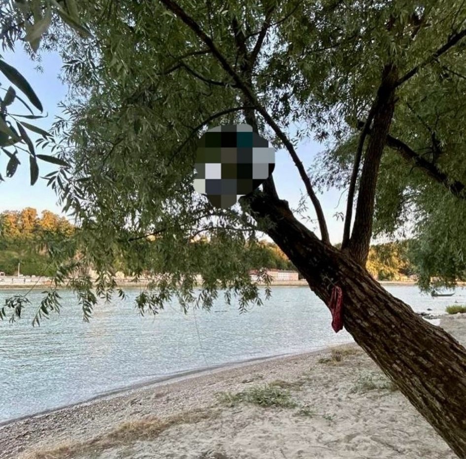 Betrunkener Mann in Urfahr von Baum gerettet